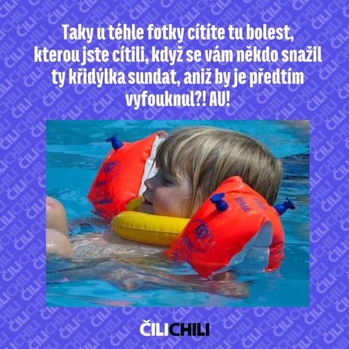Křidýlka