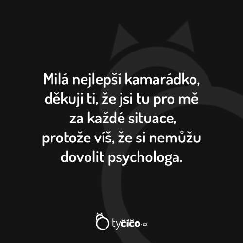 Kamarádko