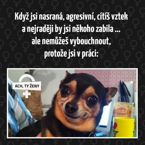  Práce 