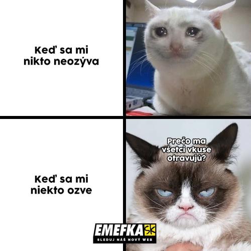  Není nic mezi tímhle 