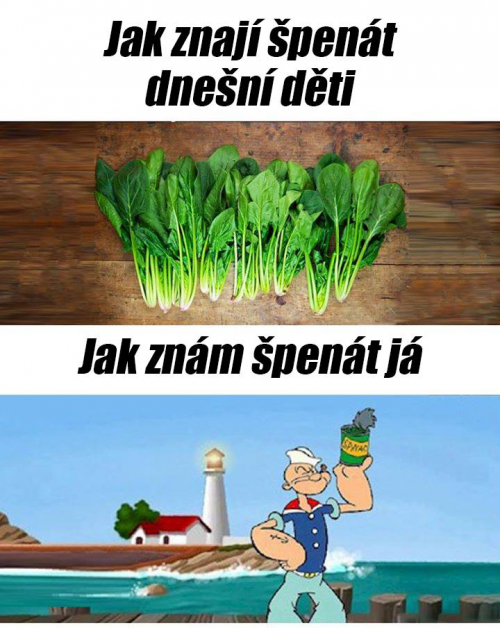 Spenát