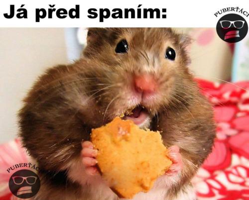  Před spaním 