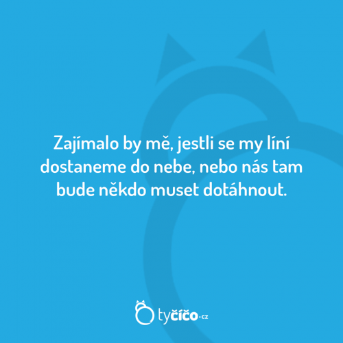 Zajímalo by mě