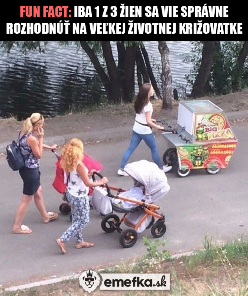  Rozhodnutí 