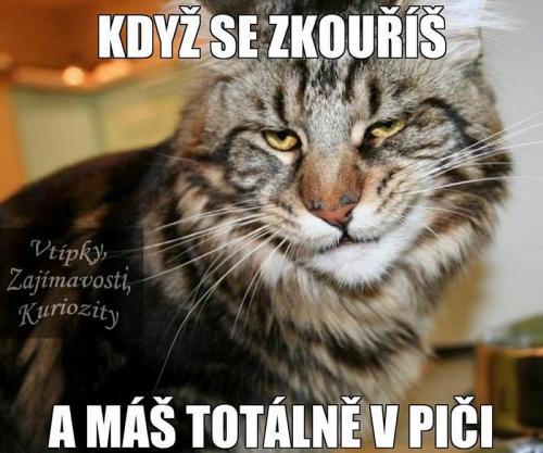Zkoušený