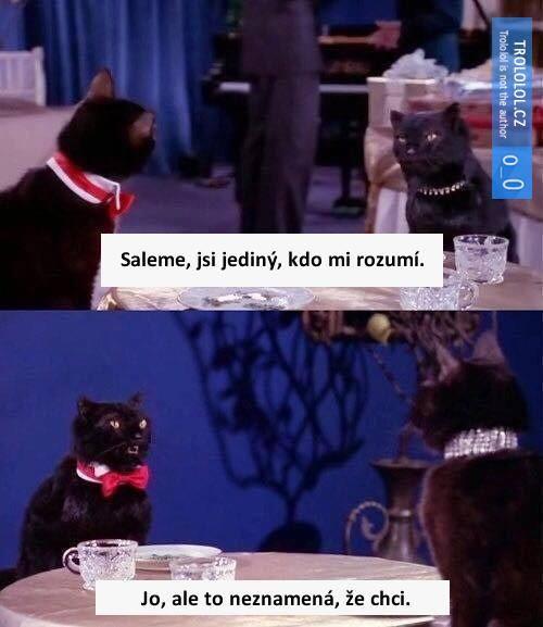 Saleme
