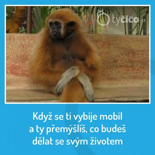  Přemýšlení 