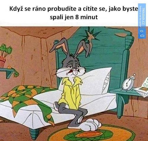  Spánek 