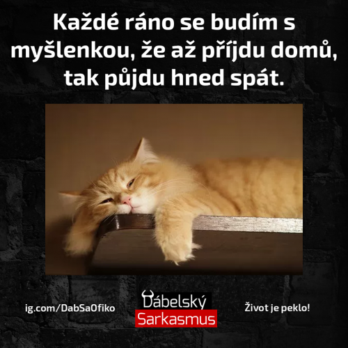  Hned spát 