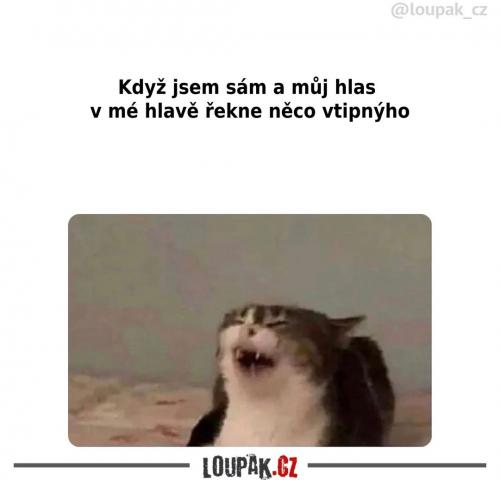  Určitě je to něco dokonalého 