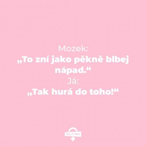  Mozek 