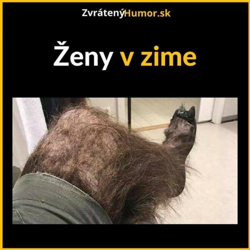  Ženy v zimě 