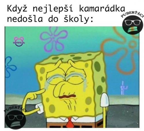 Kamaárkd