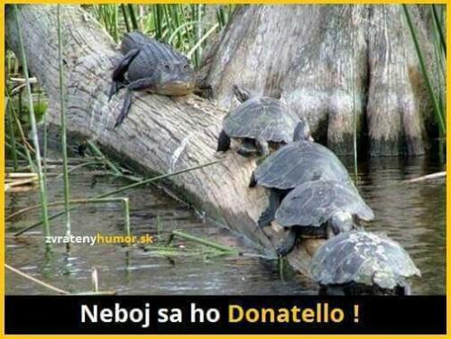 Donatello