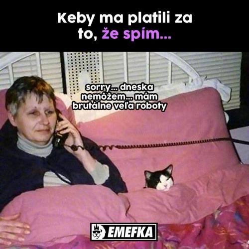  Spánek 