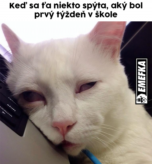  Týden 