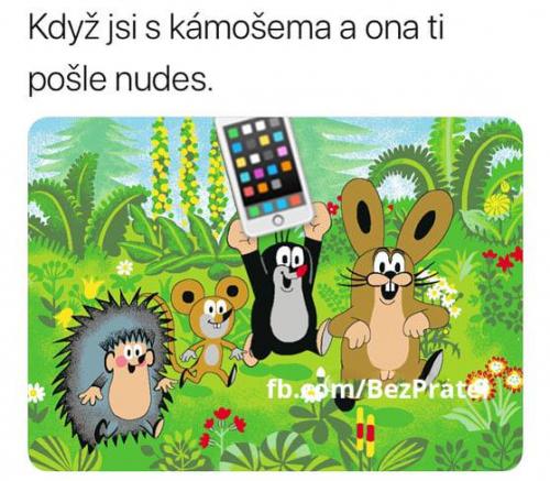  Kámoš 