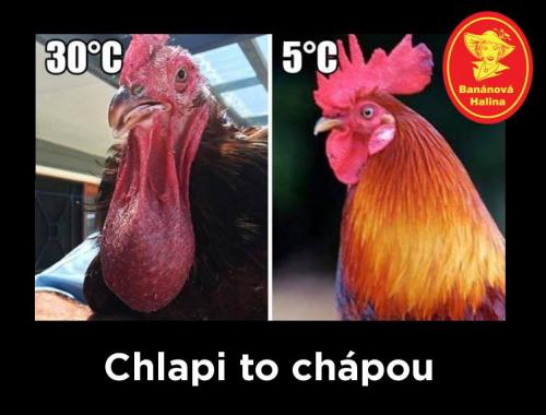  Chlapi 