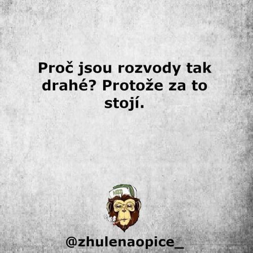  Rozvod 