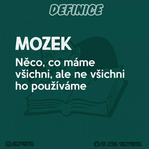  Mozek 