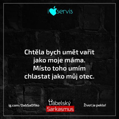 Chtěla bych