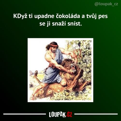 Čokoládka