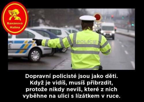  Dopravní policisté 