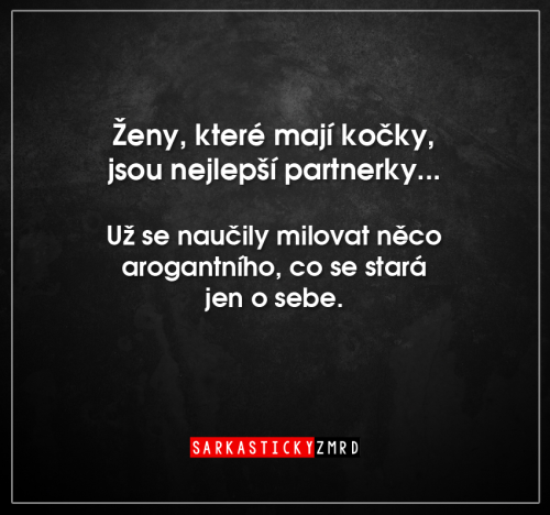  Nejlepší partnerky 