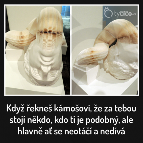 Neotáčej se