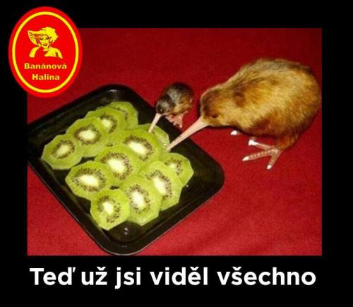 Viděl všcho