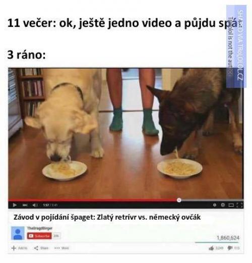  11 večer 