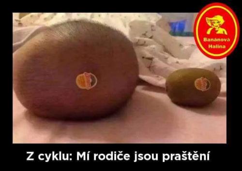  Mí rodiče 