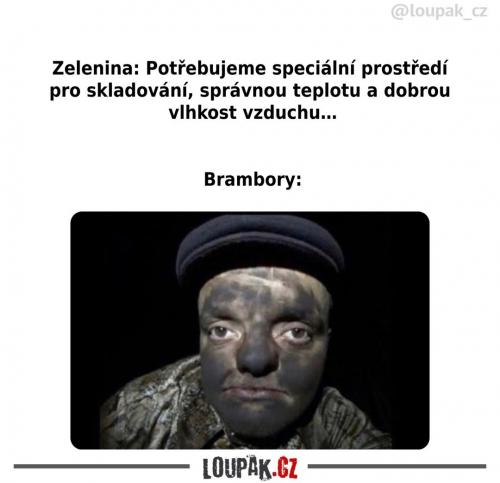 Je to docela nepoměr