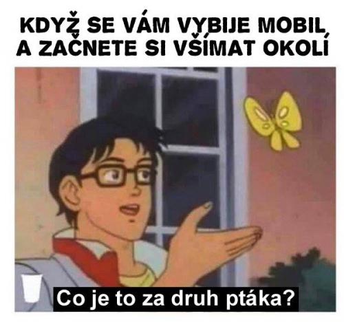 Žijte!