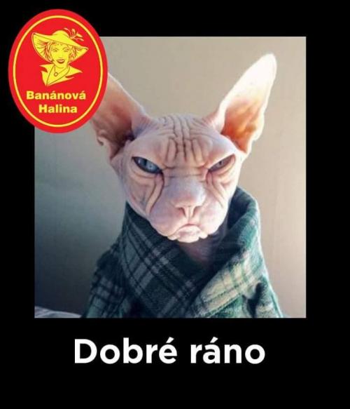 Dobré ráno