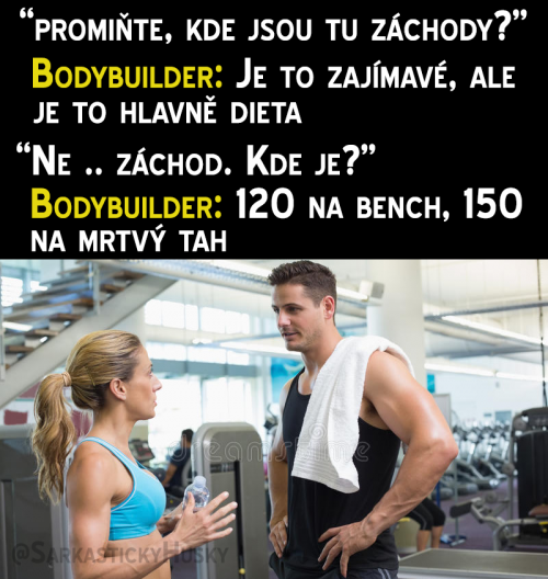  Bodybuilder 
