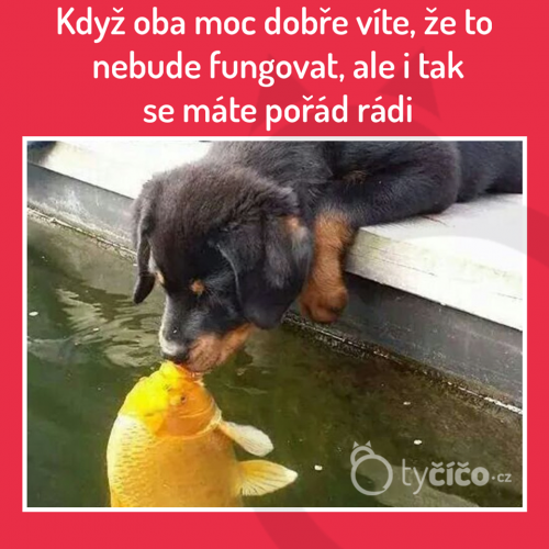 To půjde