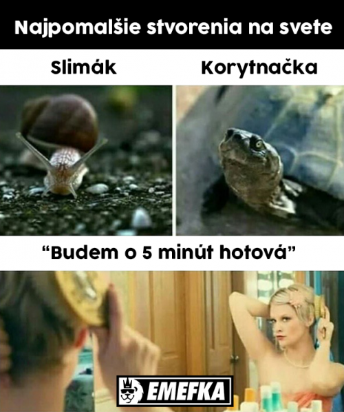 Nejpomalejší