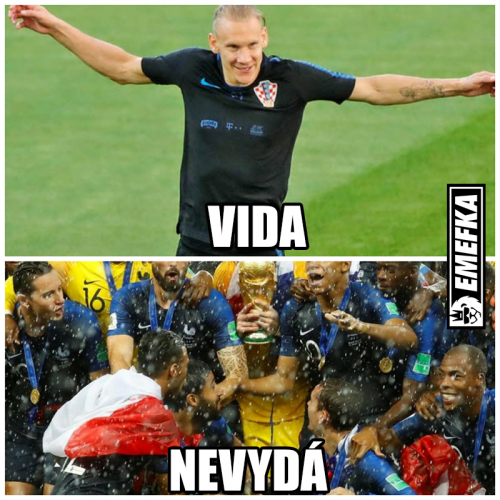  Vida 