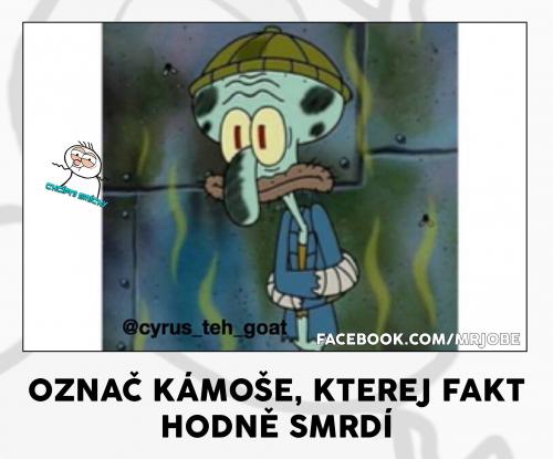  Kámoš  