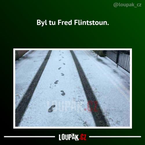  Fred 