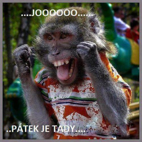  Pátek 