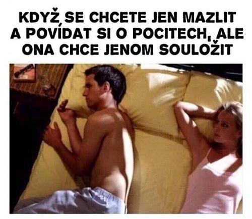 Souložit