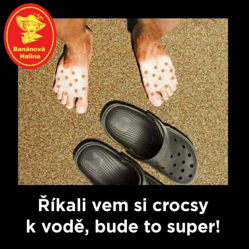 Crocsy