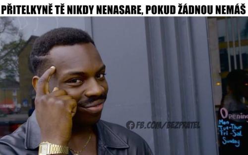  Přítelkyně 