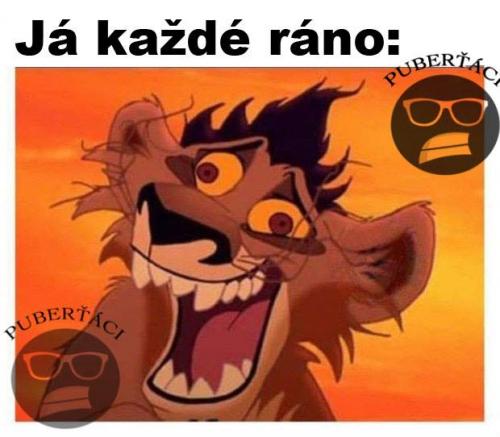  Každé ráno 