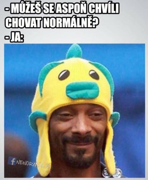  Normální 