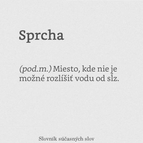  Sprcha 