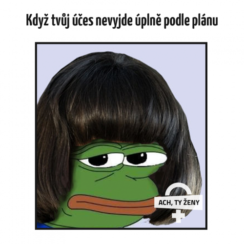  Podle plánu 