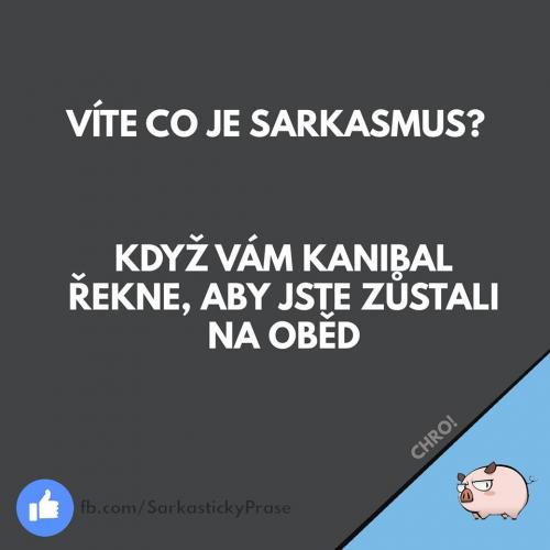  Víš co sarkasmus 